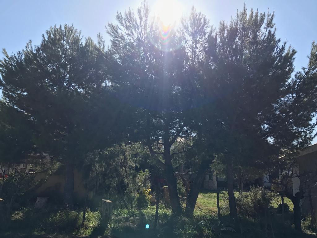 לטור Casa Rural La Granja מראה חיצוני תמונה